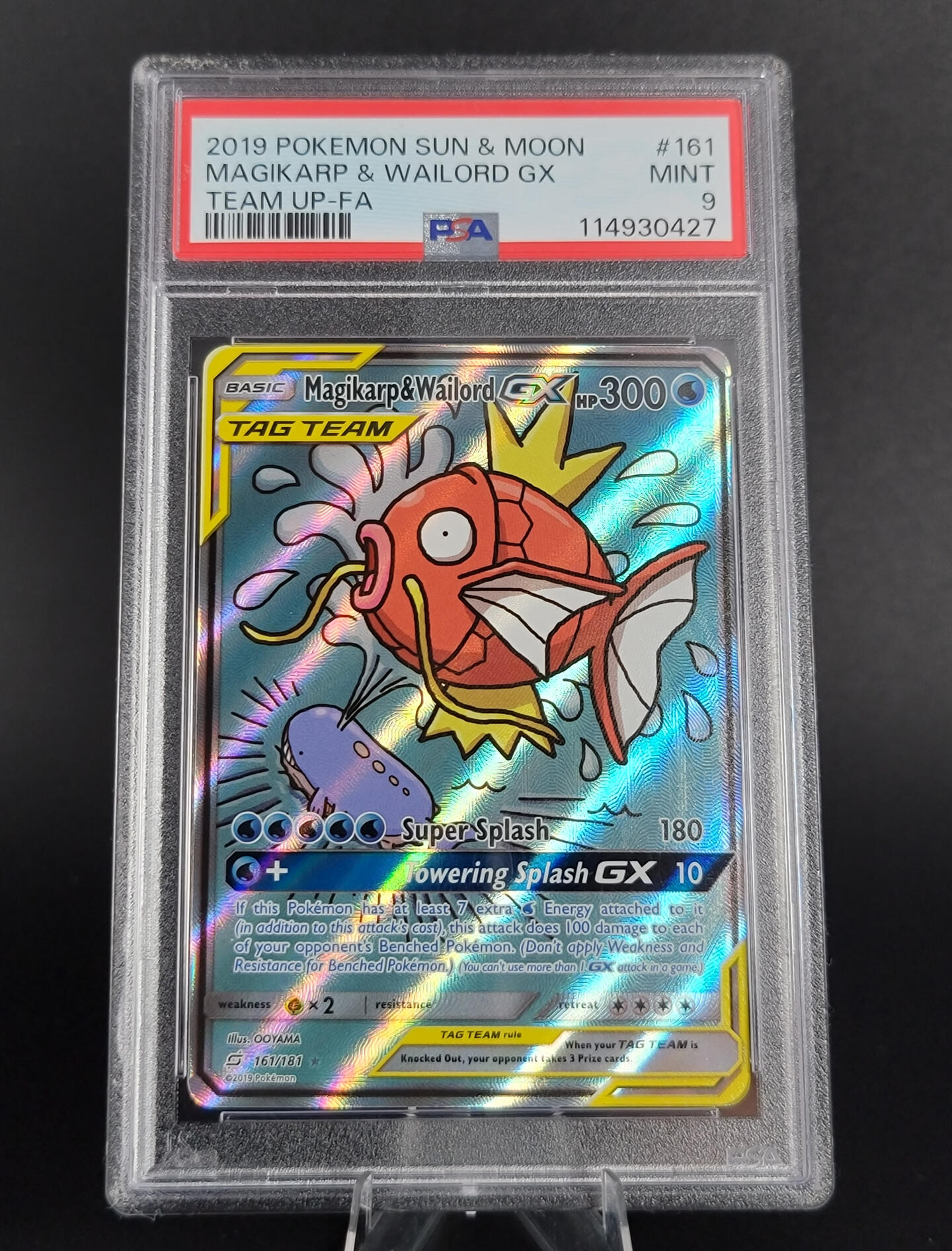 Magikarp & Wailord Magikarp & Wailord